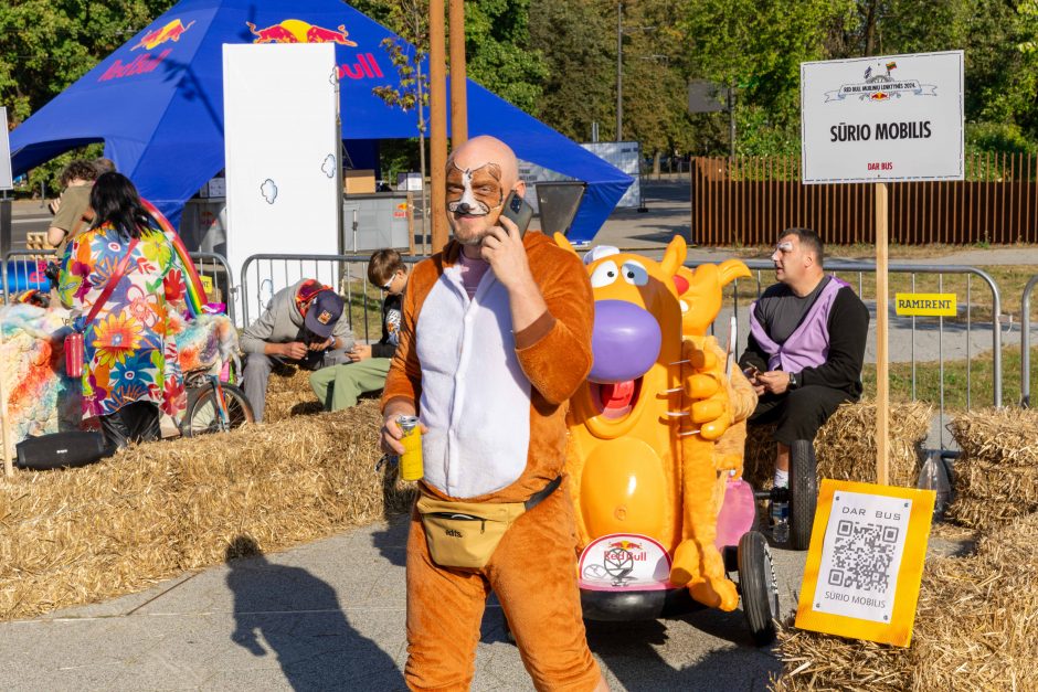 „Jabadabadū“ nuo kalno: muilinių lenktynėse – humoras ir kūrybiškumas