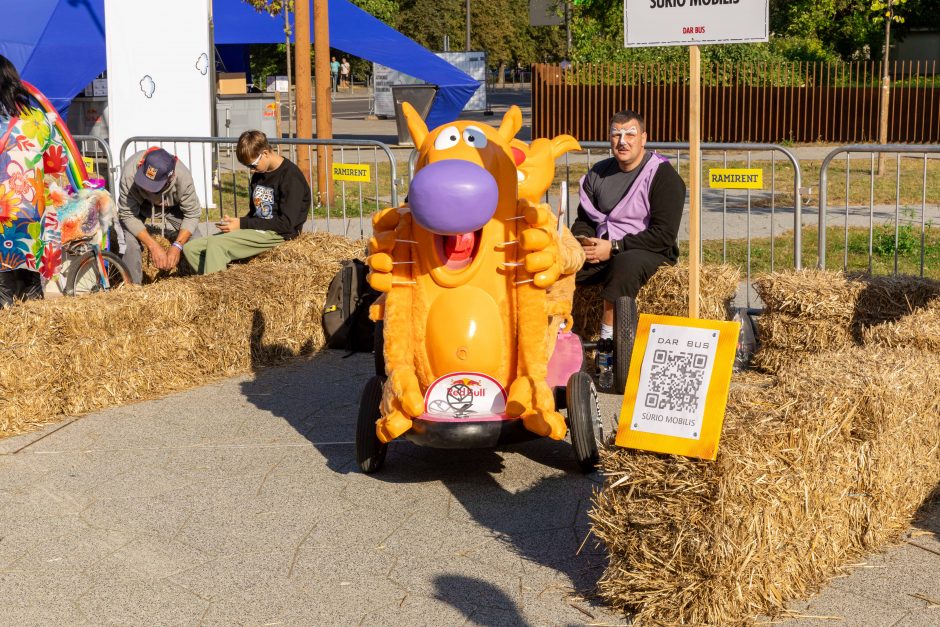 „Jabadabadū“ nuo kalno: muilinių lenktynėse – humoras ir kūrybiškumas