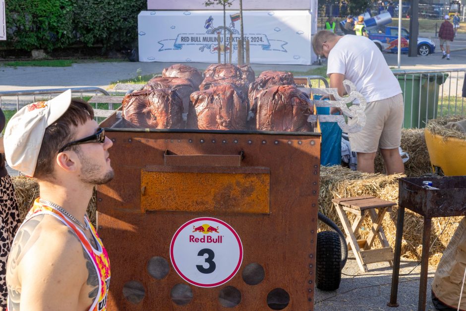 „Jabadabadū“ nuo kalno: muilinių lenktynėse – humoras ir kūrybiškumas