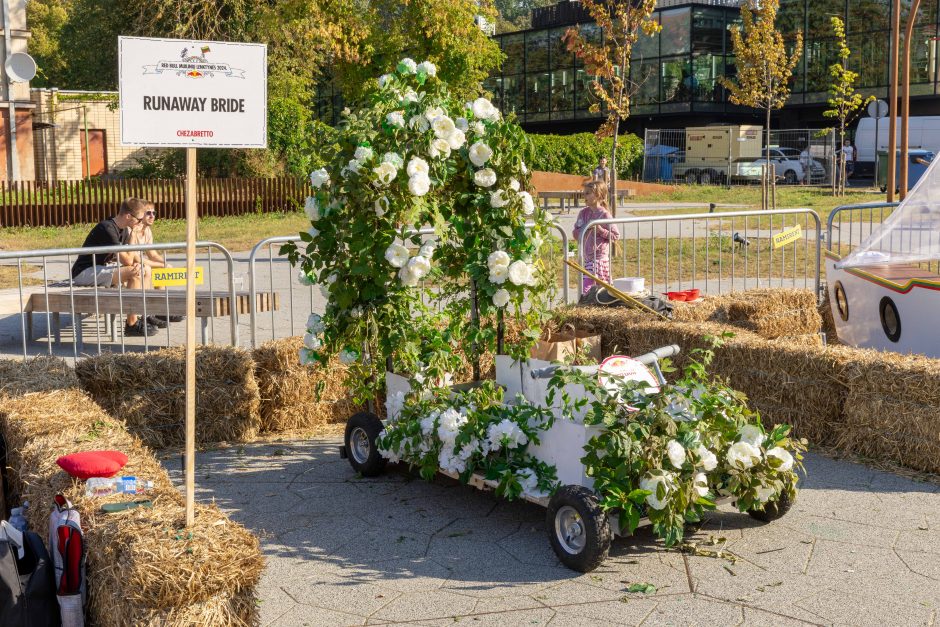 „Jabadabadū“ nuo kalno: muilinių lenktynėse – humoras ir kūrybiškumas