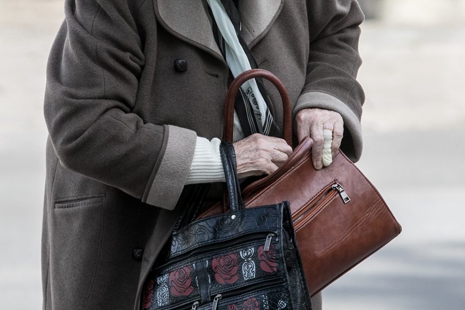 I. Ruginienė siūlomus pensijų kaupimo pokyčius vadina kosmetiniais