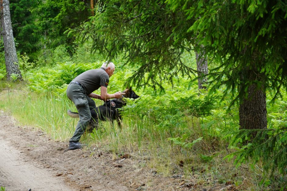 Meistriškumo čempionate paaiškės geriausias tarnybinis pasieniečių šuo