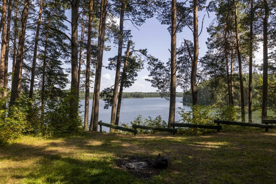 Saugomose teritorijose lankytojus fiksuos skaičiuotuvai