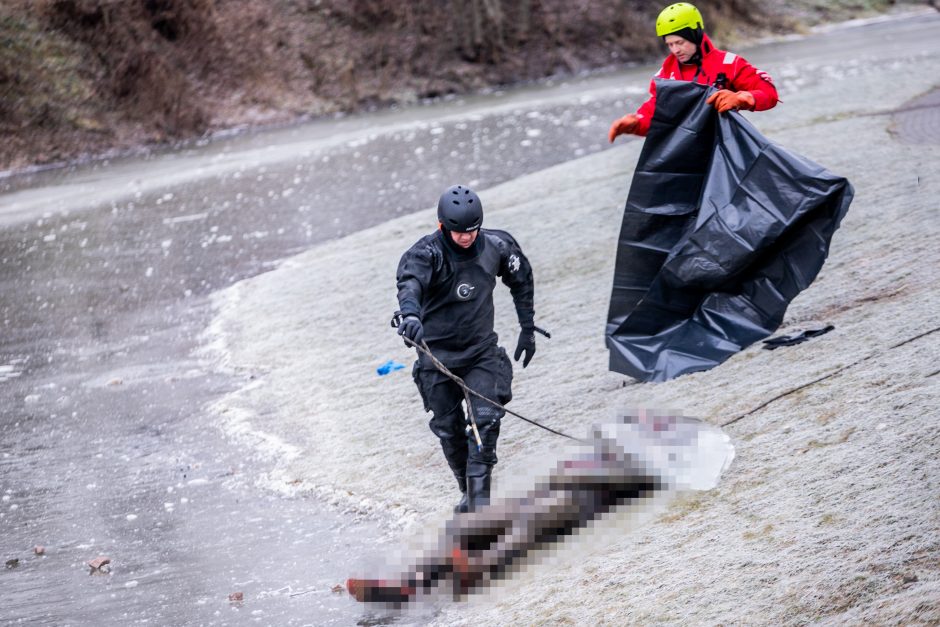 Nustatyta upelyje Garliavoje rasto negyvo vyro tapatybė