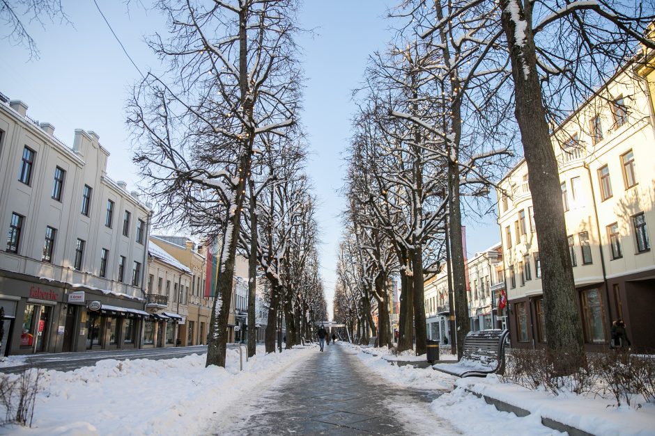 Kokie dar pokyčiai laukia Laisvės alėjoje?