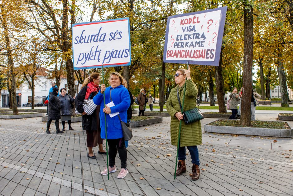 Kaune surengtas mitingas prieš skurdą: „Bankai lupikauja – jaunimas vergauja“