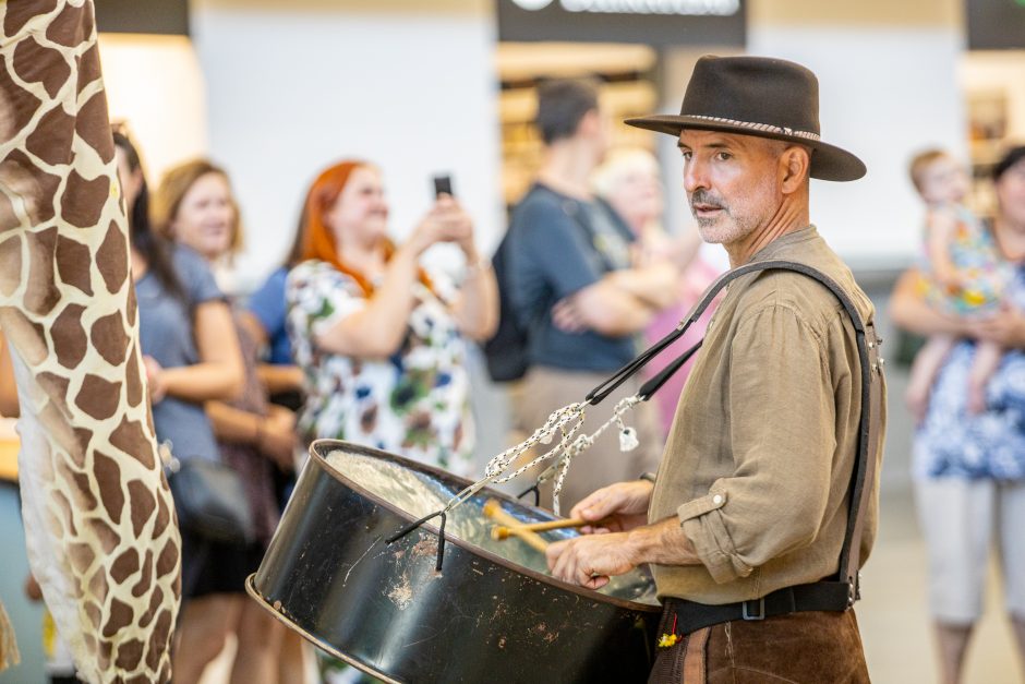 Kaune vis dar blaškosi smalsios žirafos, jas lydi Afrikos ritmai 