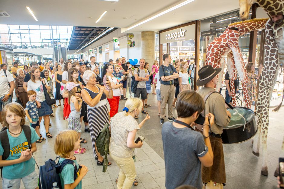 Kaune vis dar blaškosi smalsios žirafos, jas lydi Afrikos ritmai 