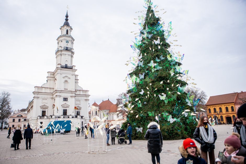 Rotušės aikštėje paskutines dienas skaičiuojanti Kalėdų eglė sulaukė ir kauniečių, ir svečių dėmesio