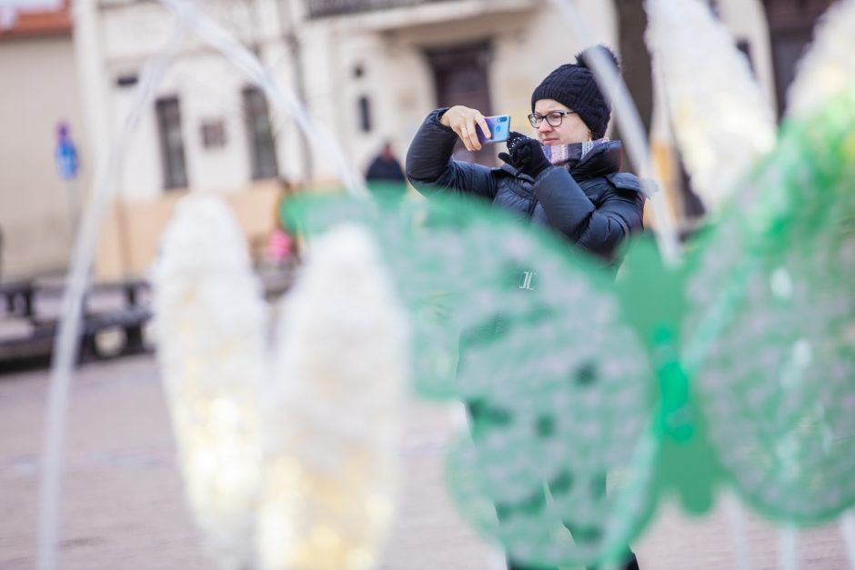 Rotušės aikštėje paskutines dienas skaičiuojanti Kalėdų eglė sulaukė ir kauniečių, ir svečių dėmesio