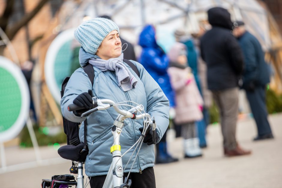 Rotušės aikštėje paskutines dienas skaičiuojanti Kalėdų eglė sulaukė ir kauniečių, ir svečių dėmesio