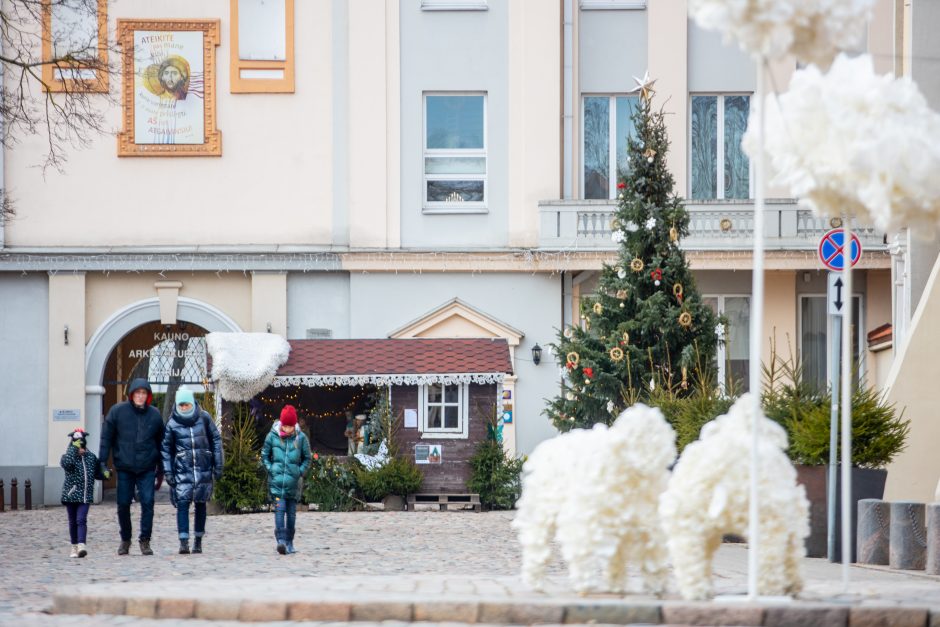 Rotušės aikštėje paskutines dienas skaičiuojanti Kalėdų eglė sulaukė ir kauniečių, ir svečių dėmesio