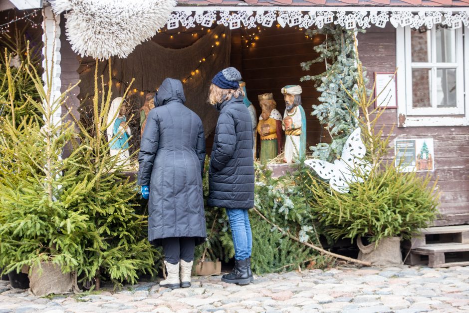 Rotušės aikštėje paskutines dienas skaičiuojanti Kalėdų eglė sulaukė ir kauniečių, ir svečių dėmesio