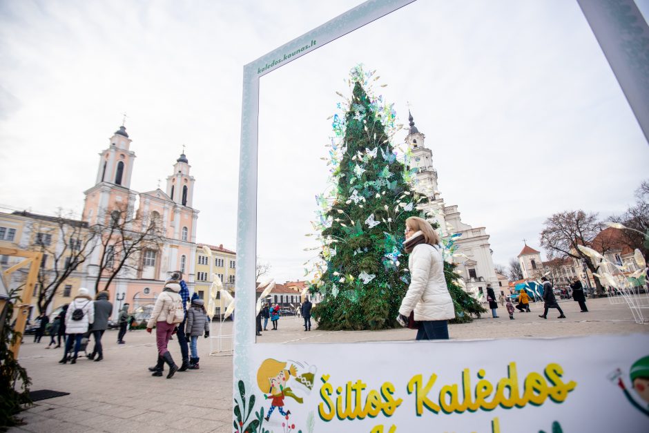 Rotušės aikštėje paskutines dienas skaičiuojanti Kalėdų eglė sulaukė ir kauniečių, ir svečių dėmesio