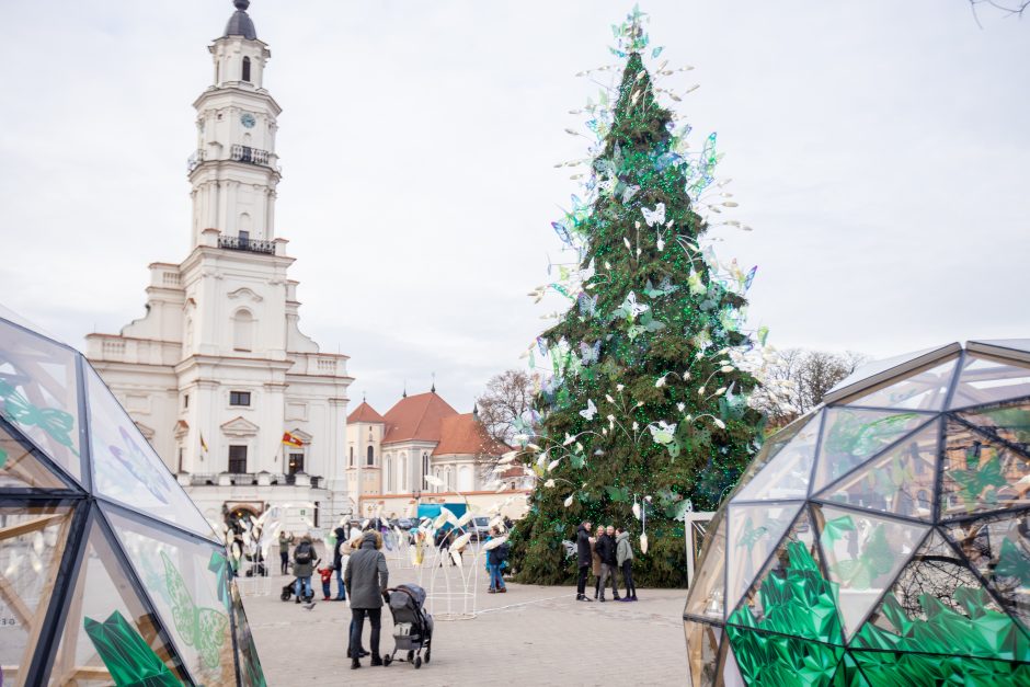 Rotušės aikštėje paskutines dienas skaičiuojanti Kalėdų eglė sulaukė ir kauniečių, ir svečių dėmesio