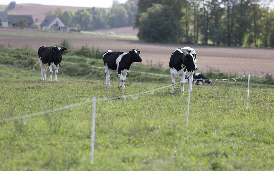 Smulkiųjų ir vidutinių ūkių gyvybingumui didinti – parama