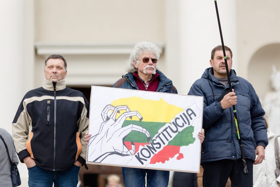 Iki tūkstančio žmonių dalyvavo šeimų sąjūdžio mitinge: siekiame, kad nebūtų laužoma Konstitucija