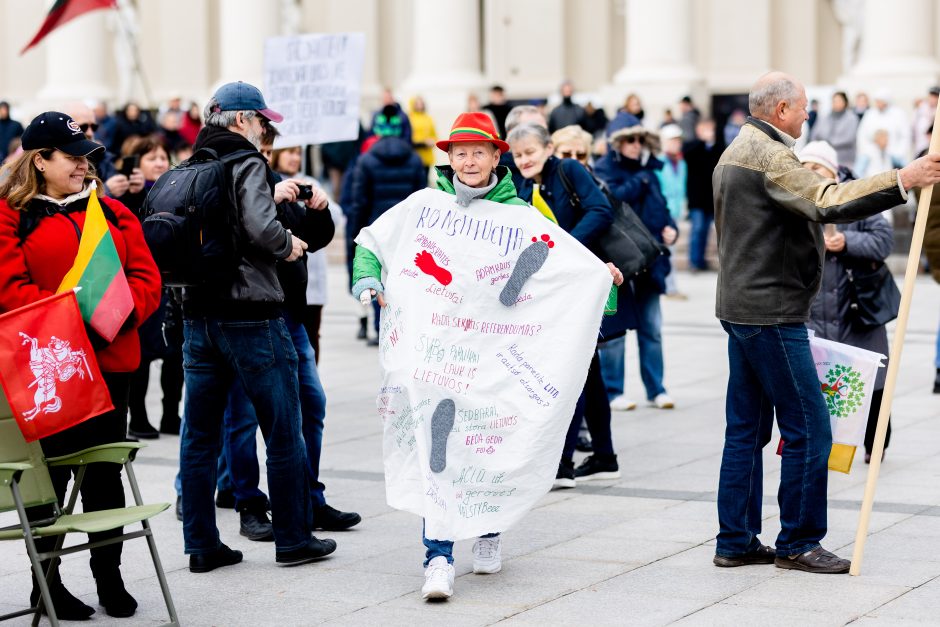 Iki tūkstančio žmonių dalyvavo šeimų sąjūdžio mitinge: siekiame, kad nebūtų laužoma Konstitucija