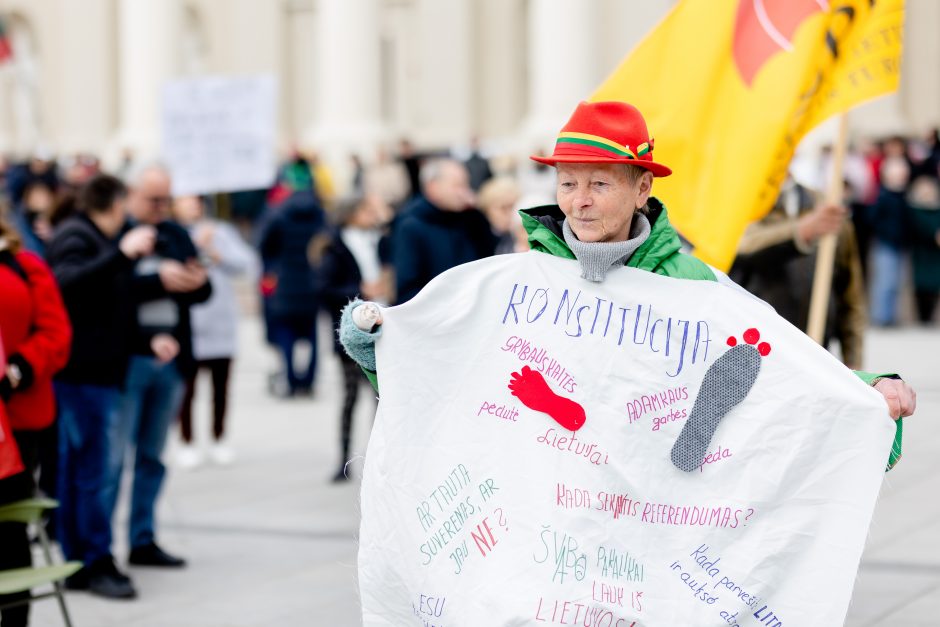 Iki tūkstančio žmonių dalyvavo šeimų sąjūdžio mitinge: siekiame, kad nebūtų laužoma Konstitucija