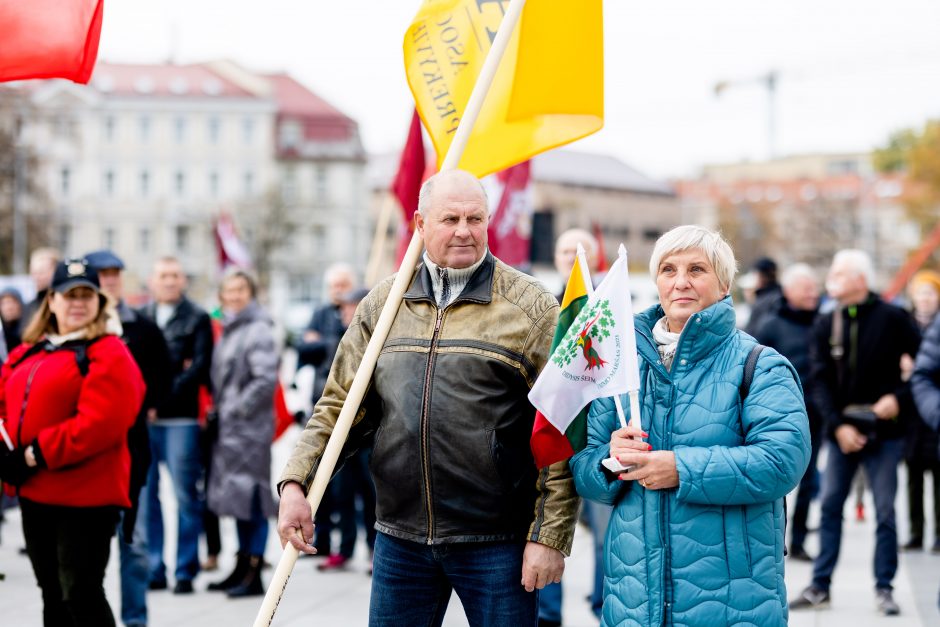 Iki tūkstančio žmonių dalyvavo šeimų sąjūdžio mitinge: siekiame, kad nebūtų laužoma Konstitucija