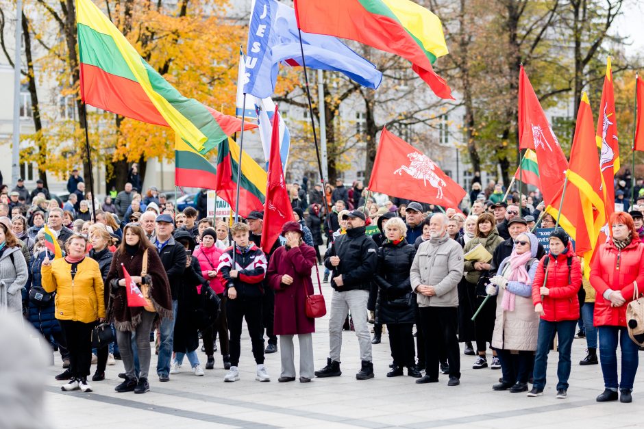 Iki tūkstančio žmonių dalyvavo šeimų sąjūdžio mitinge: siekiame, kad nebūtų laužoma Konstitucija