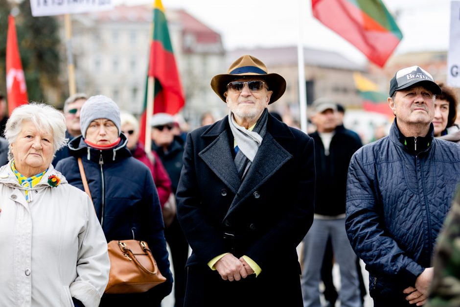 Iki tūkstančio žmonių dalyvavo šeimų sąjūdžio mitinge: siekiame, kad nebūtų laužoma Konstitucija