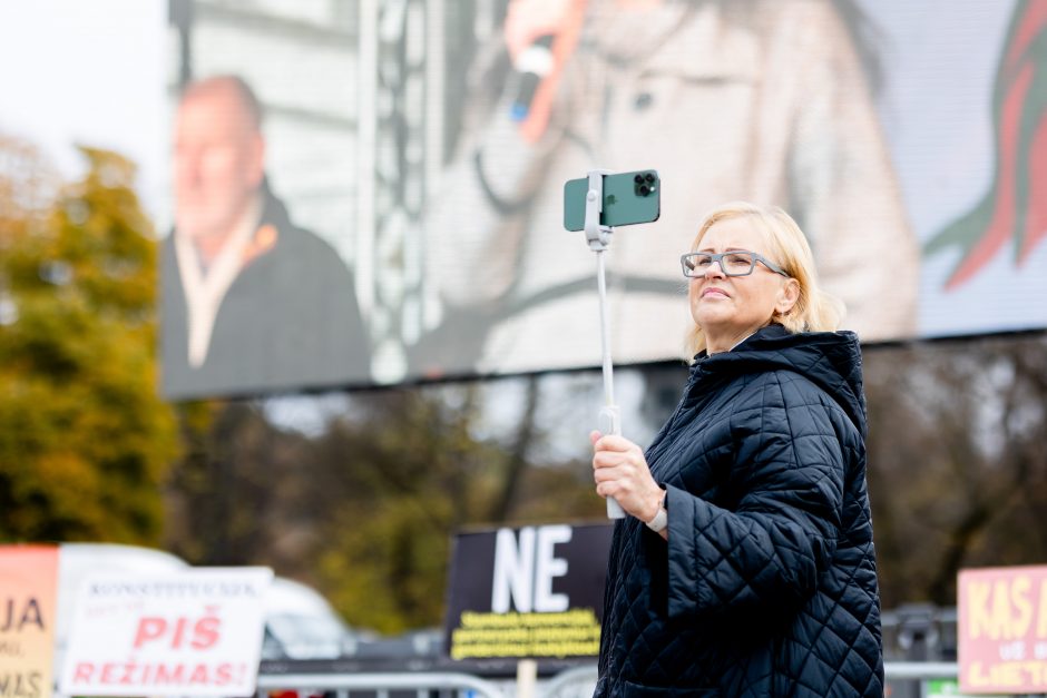 Iki tūkstančio žmonių dalyvavo šeimų sąjūdžio mitinge: siekiame, kad nebūtų laužoma Konstitucija