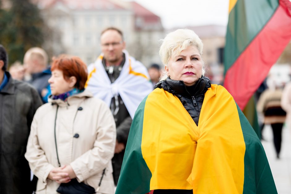 Iki tūkstančio žmonių dalyvavo šeimų sąjūdžio mitinge: siekiame, kad nebūtų laužoma Konstitucija