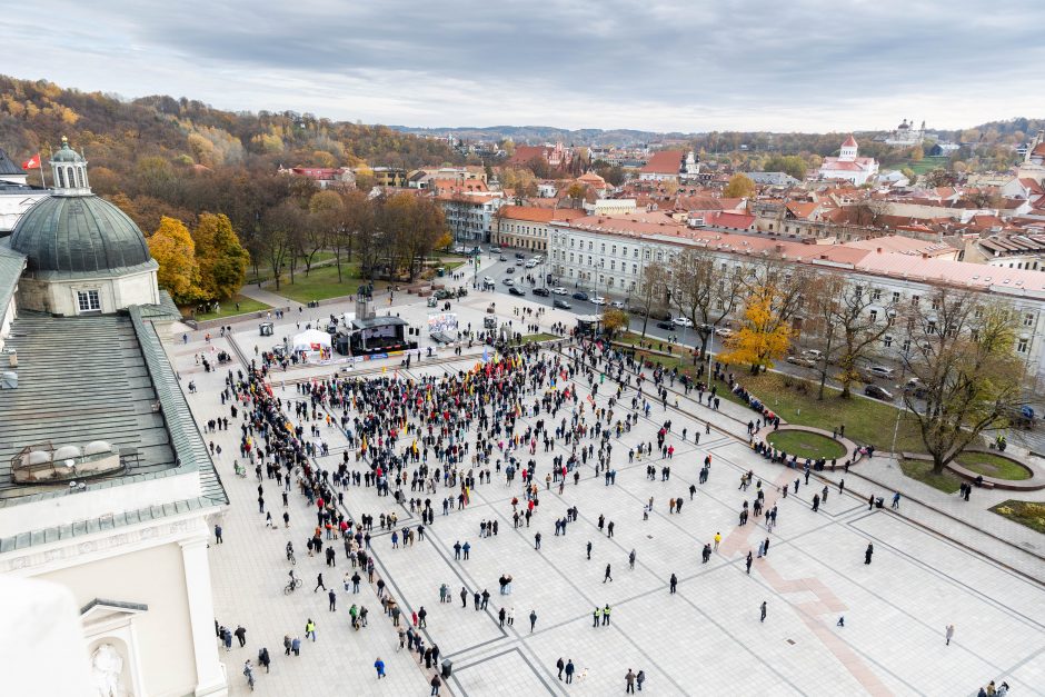 Iki tūkstančio žmonių dalyvavo šeimų sąjūdžio mitinge: siekiame, kad nebūtų laužoma Konstitucija