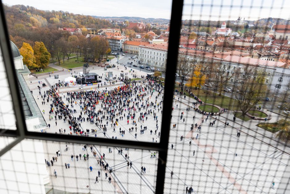 Iki tūkstančio žmonių dalyvavo šeimų sąjūdžio mitinge: siekiame, kad nebūtų laužoma Konstitucija