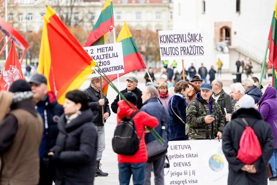 Iki tūkstančio žmonių dalyvavo šeimų sąjūdžio mitinge: siekiame, kad nebūtų laužoma Konstitucija