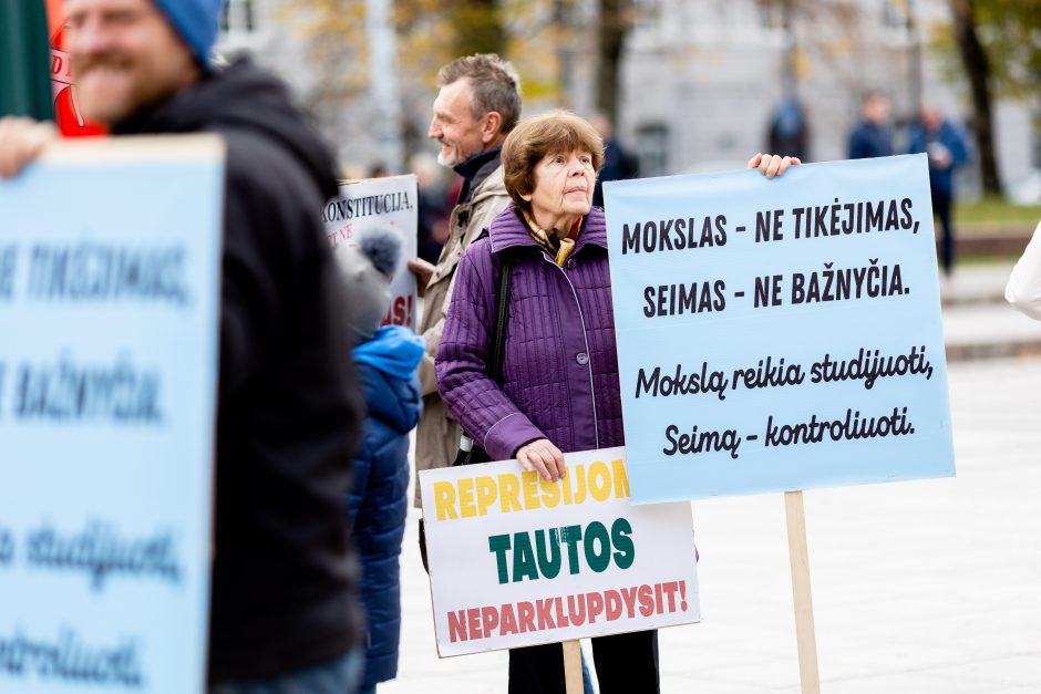 Iki tūkstančio žmonių dalyvavo šeimų sąjūdžio mitinge: siekiame, kad nebūtų laužoma Konstitucija