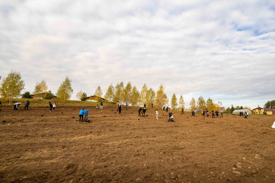 Tūkstantį medelių pasodinęs V. Žala taip kompensuos visų ateities startų Dakare taršą