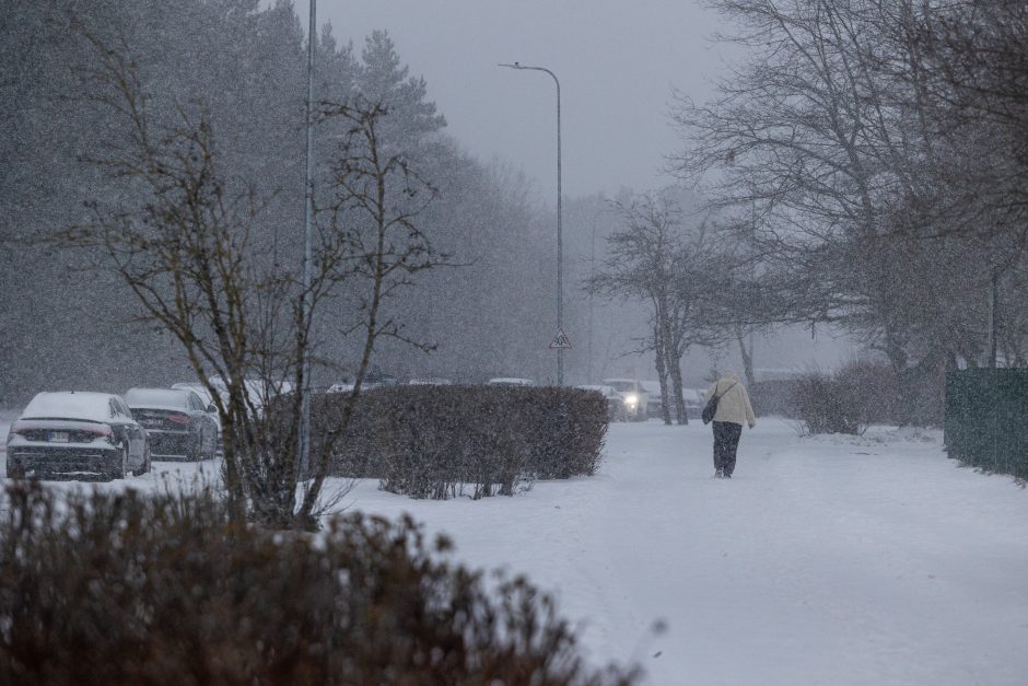 Sostinės gyventojai raginami pasiruošti pūgai: ką būtina žinoti