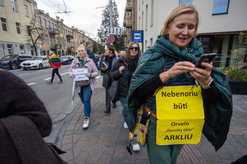 Mokytojų profsąjungai paskelbus streiko pertrauką, streikuojančiųjų banga slūgsta