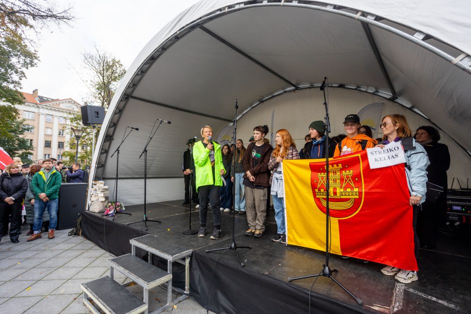 Mokytojų profsąjungai paskelbus streiko pertrauką, streikuojančiųjų banga slūgsta