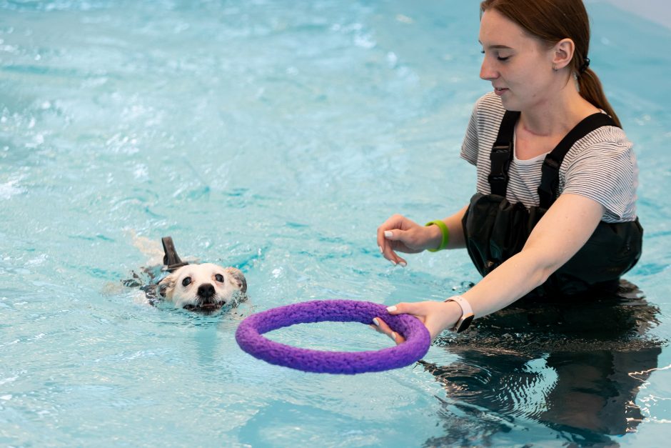 Vilniuje atidarytas didžiausias gyvūnų gydymo kompleksas: gelbės kates,  lemūrus, krevetes