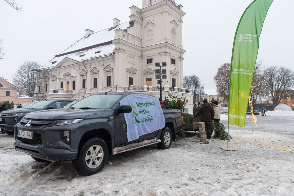 Tūkstančiai kauniečių į namus parsinešė mišku kvepiančias Kalėdas