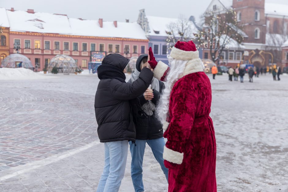 Tūkstančiai kauniečių į namus parsinešė mišku kvepiančias Kalėdas