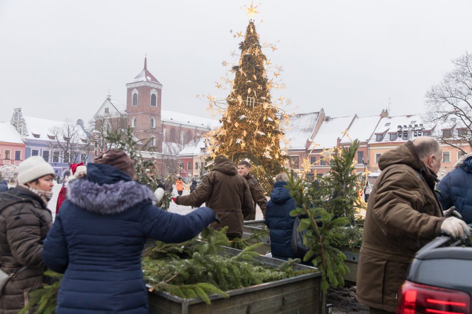 Tūkstančiai kauniečių į namus parsinešė mišku kvepiančias Kalėdas