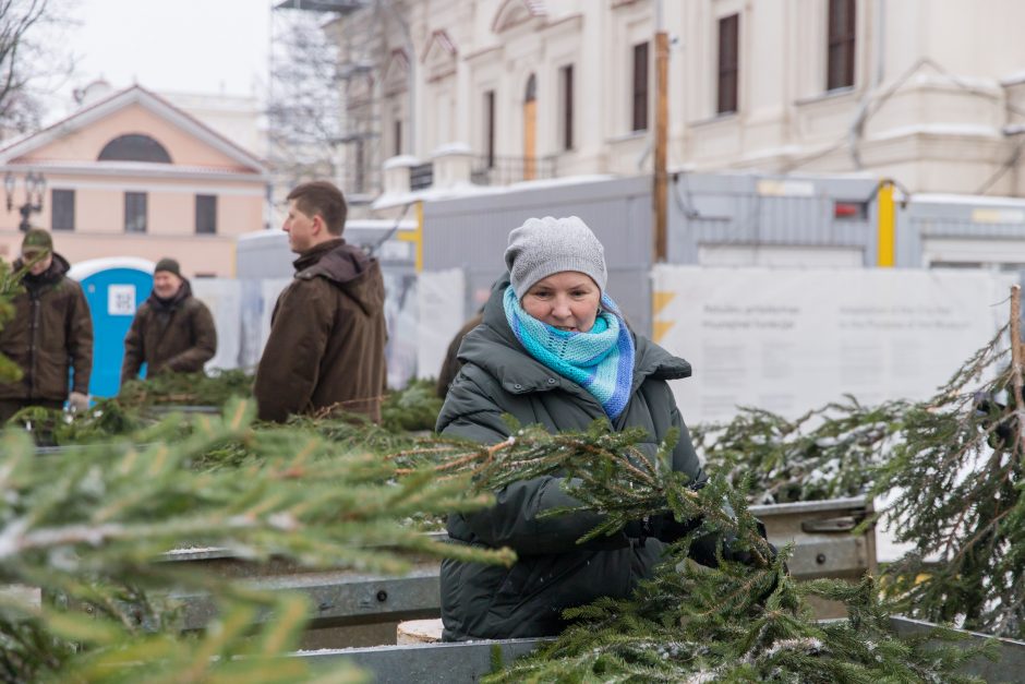 Tūkstančiai kauniečių į namus parsinešė mišku kvepiančias Kalėdas