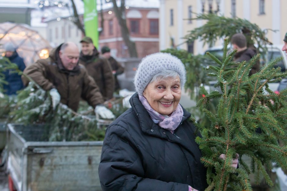 Tūkstančiai kauniečių į namus parsinešė mišku kvepiančias Kalėdas