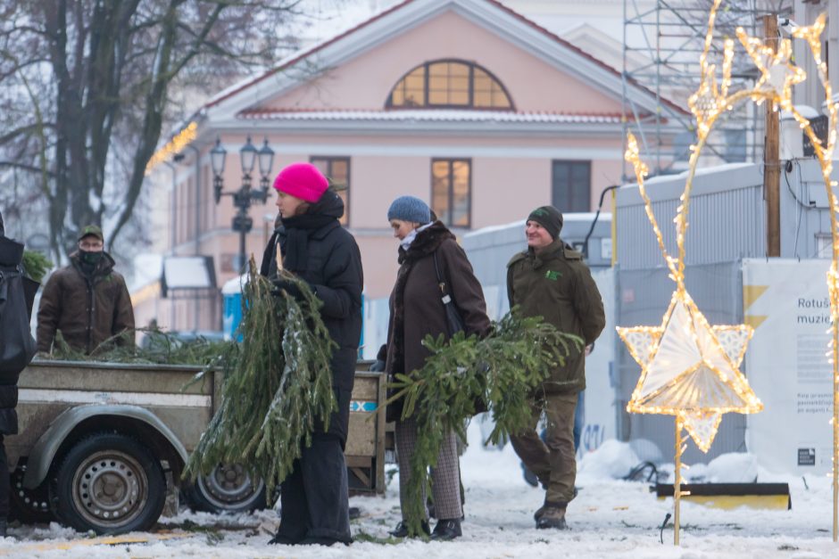 Tūkstančiai kauniečių į namus parsinešė mišku kvepiančias Kalėdas