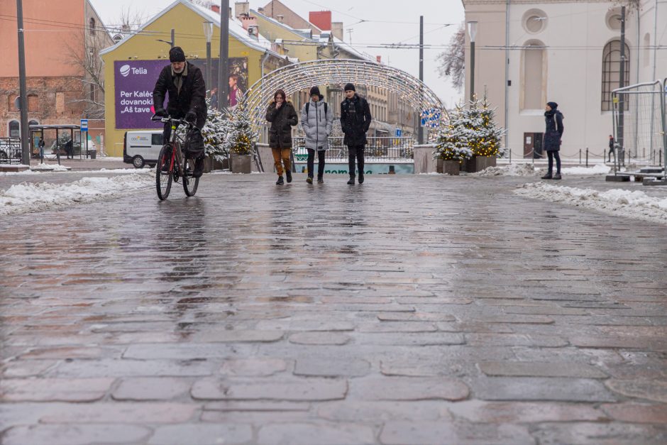 Vilniaus gatvė: ar ne per anksti liejasi kritika?