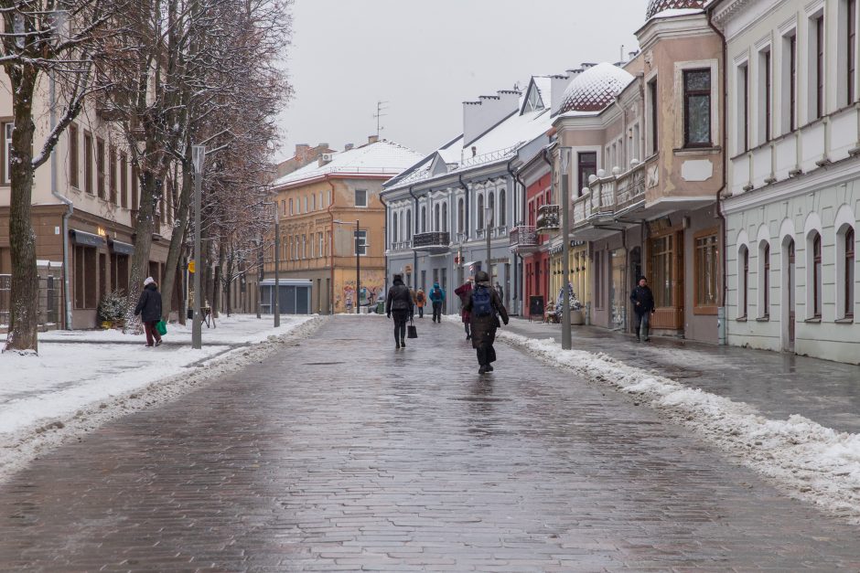 Vilniaus gatvė: ar ne per anksti liejasi kritika?