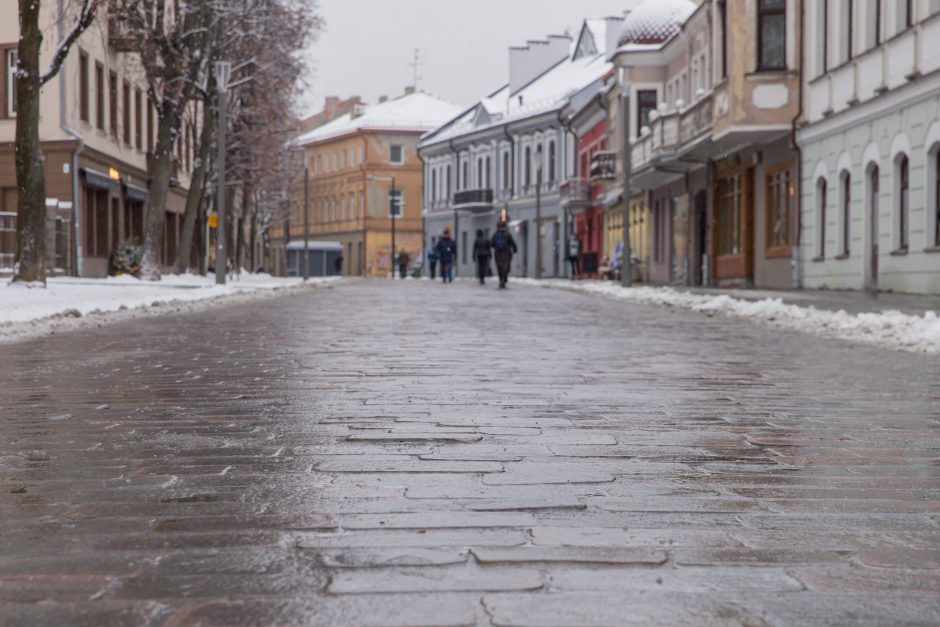 Vilniaus gatvė: ar ne per anksti liejasi kritika?