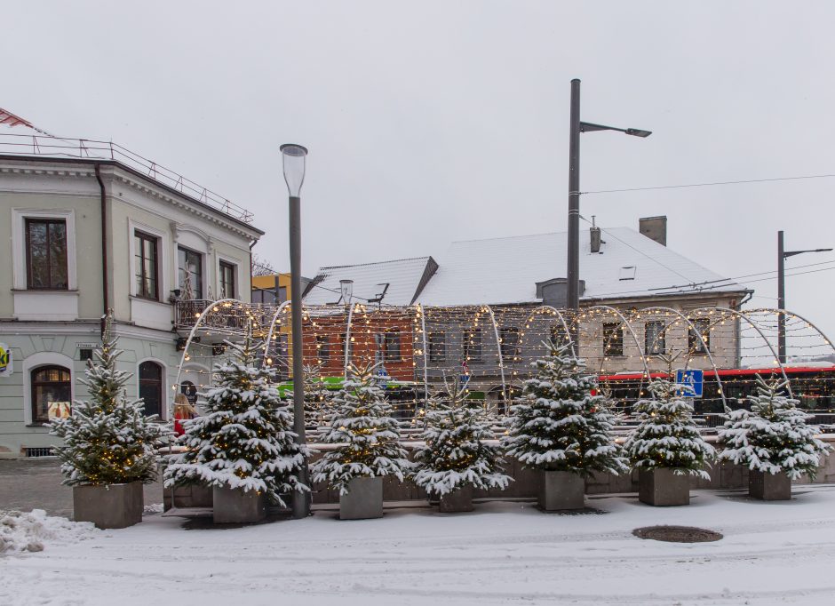 Vilniaus gatvė: ar ne per anksti liejasi kritika?