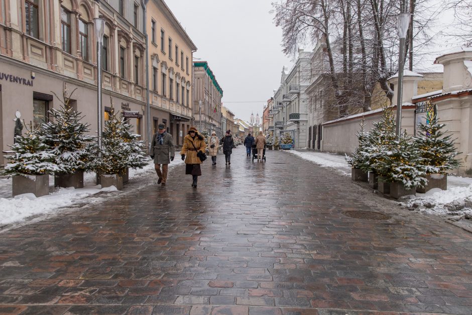 Vilniaus gatvė: ar ne per anksti liejasi kritika?