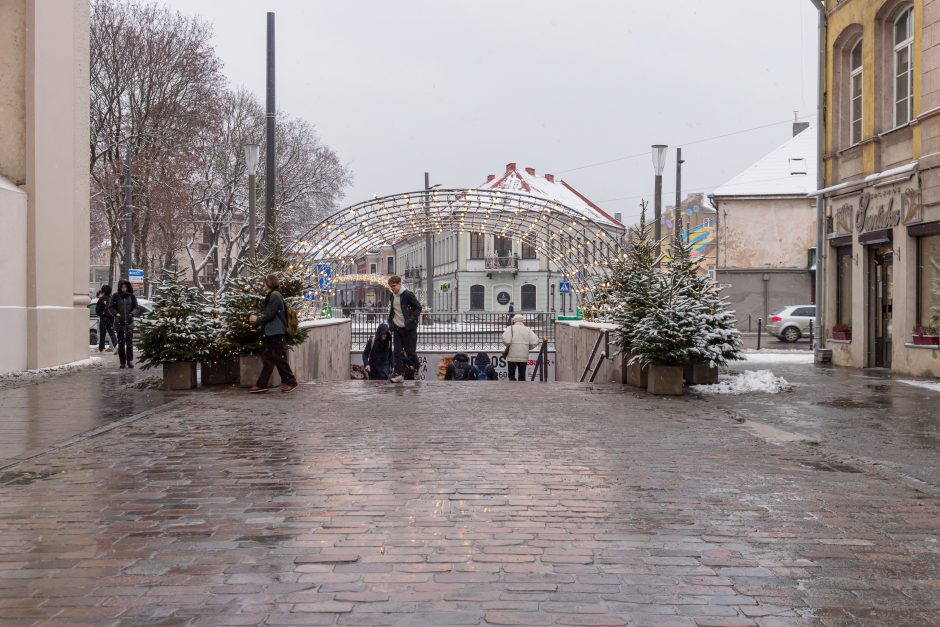 Vilniaus gatvė: ar ne per anksti liejasi kritika?