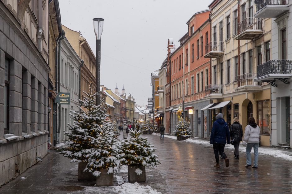 Vilniaus gatvė: ar ne per anksti liejasi kritika?